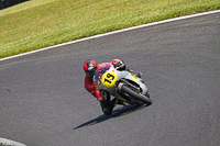 Vintage-motorcycle-club;eventdigitalimages;mallory-park;mallory-park-trackday-photographs;no-limits-trackdays;peter-wileman-photography;trackday-digital-images;trackday-photos;vmcc-festival-1000-bikes-photographs